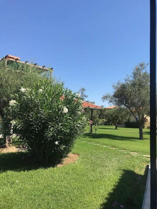 זכארו Phyllida Guest House - A2 מראה חיצוני תמונה